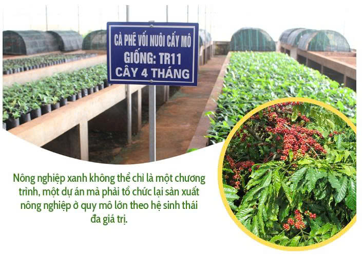 bệ đỡ 5